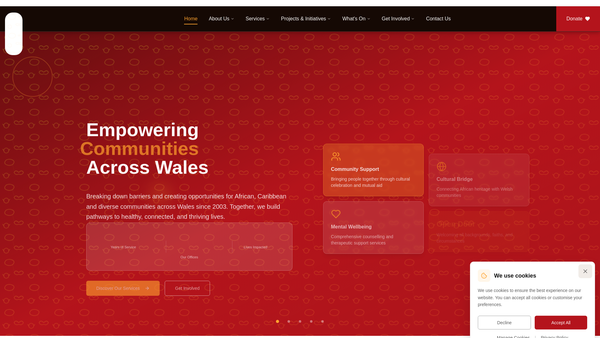 Screenshot of the African Community Centre website