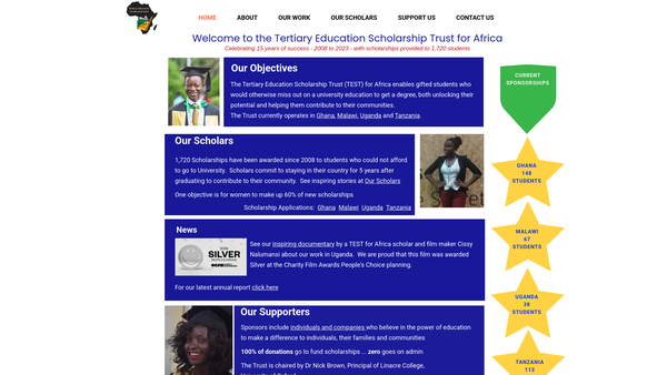 Screenshot of the Tertiary Education Scholarship Trust For Africa website