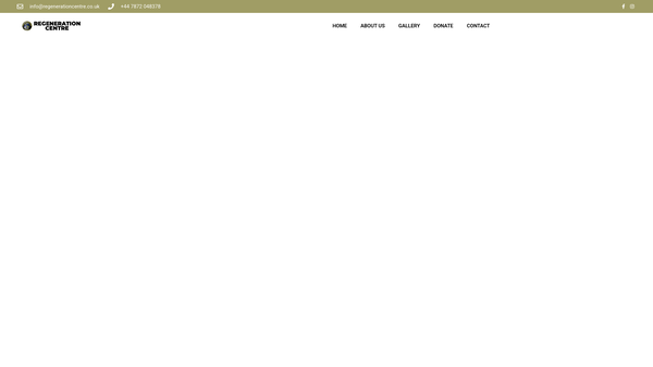 Screenshot of the Regeneration Centre International website