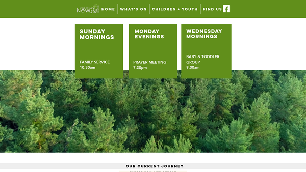 Screenshot of the Forest New Life Church website