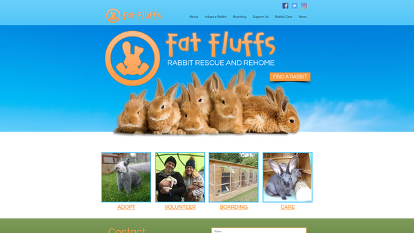 Screenshot of the Fat Fluffs Rabbit Rescue website