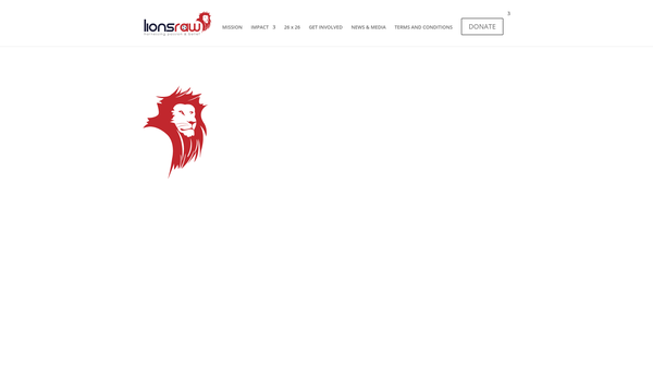 Screenshot of the The Raw Foundation website