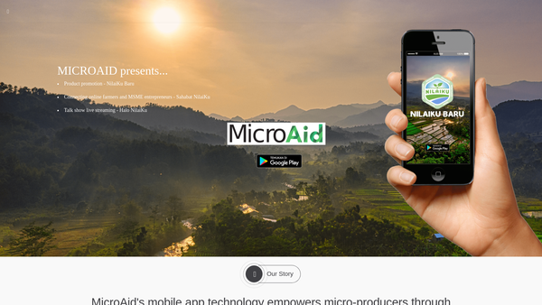 Screenshot of the Microaid Projects Ltd website