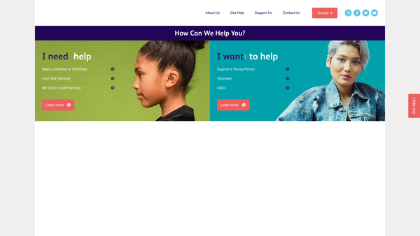 Screenshot of the The Wish Centre Limited website