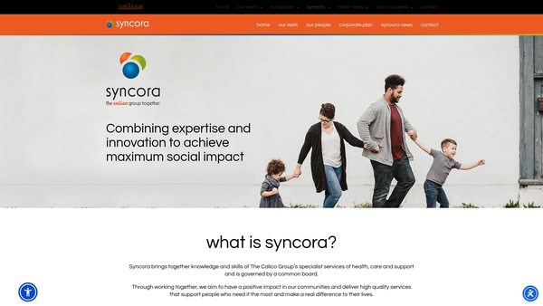 Screenshot of the Calico Enterprise Limited website