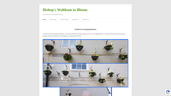 Screenshot of the Bishop's Waltham In Bloom website
