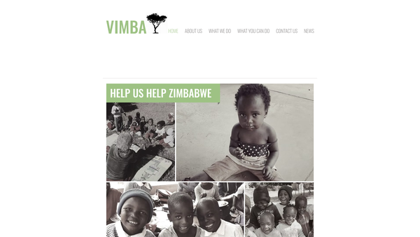Screenshot of the Vimba website