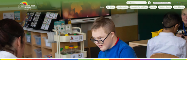 Screenshot of the Green Park School Amenities Fund website