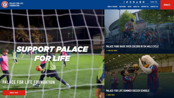 Screenshot of the Palace For Life Foundation website
