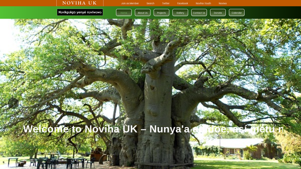 Screenshot of the Noviha UK website