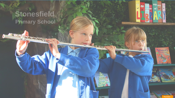 Screenshot of the Friends Of Stonesfield School website
