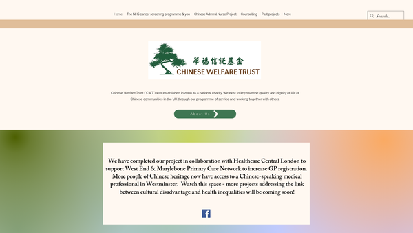 Screenshot of the Chinese Welfare Trust website