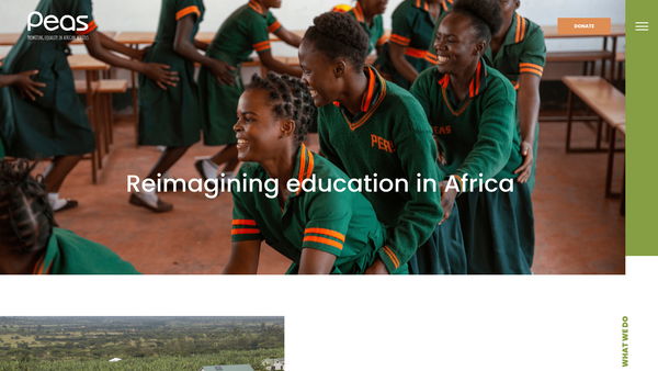 Screenshot of the Promoting Equality In African Schools website