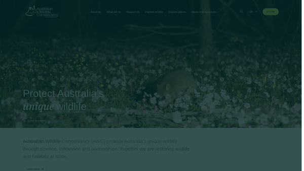 Screenshot of the Australian Wildlife Conservancy United Kingdom website