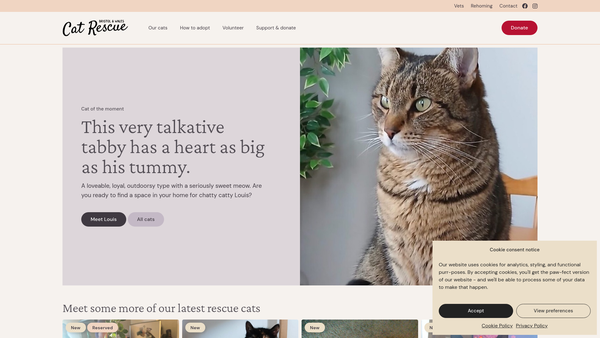 Screenshot of the Bristol And Wales Cat Rescue website