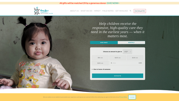 Screenshot of the Onesky Foundation (UK) Limited website