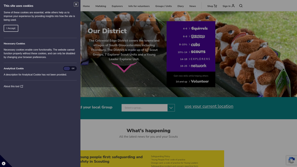 Screenshot of the Cotswold Edge District Scout Council website