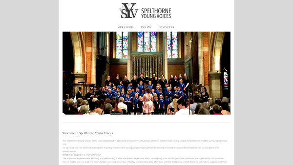 Screenshot of the Spelthorne Young Voices website