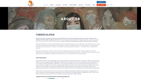 Screenshot of the Moxafrica website