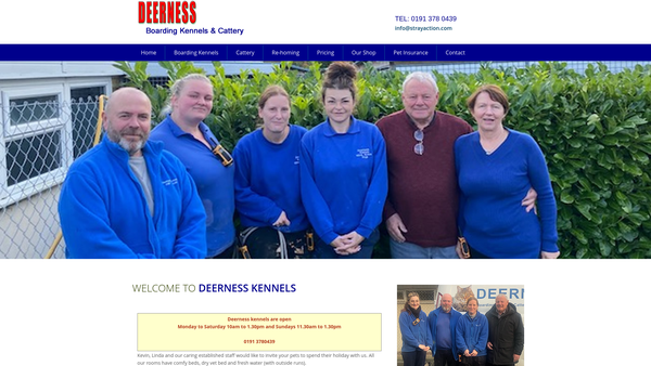 Screenshot of the Supporters Of Stray And Abandoned Dogs- So Sad website