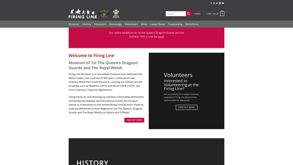 Screenshot of the Firing Line Ltd website