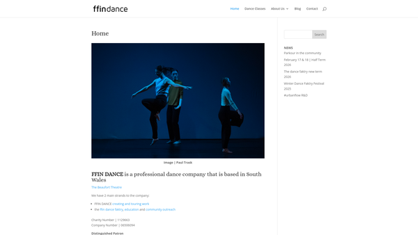 Screenshot of the Ffin Dance website