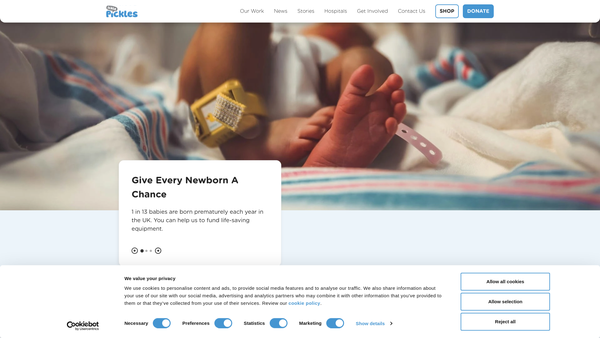 Screenshot of the The Ickle Pickle Partnership Ltd website
