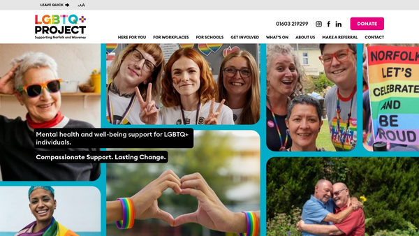 Screenshot of the LGBTQ+ Project website