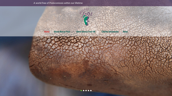 Screenshot of the Mossy Foot UK website