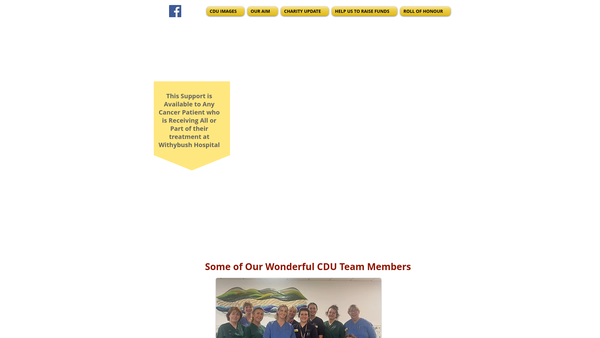 Screenshot of the Withybush Hospital Cancer Day Unit Appeal website