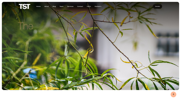 Screenshot of the The Spearhead Trust At Bells Farmhouse website