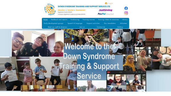 Screenshot of the Down Syndrome Training And Support Service Limited website