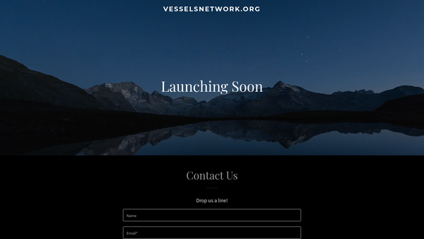 Screenshot of the The Vessels Action Network International website