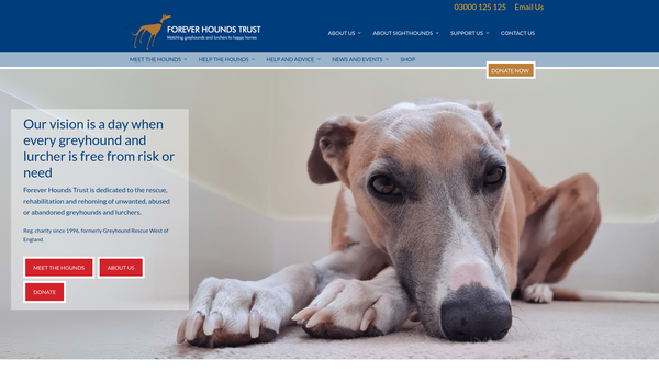 Screenshot of the Forever Hounds Trust website