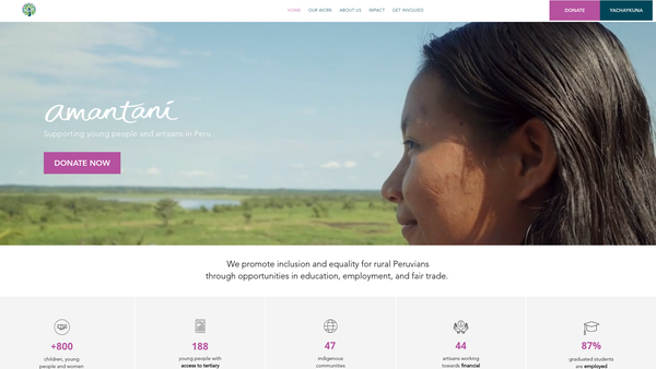Screenshot of the Amantani UK website