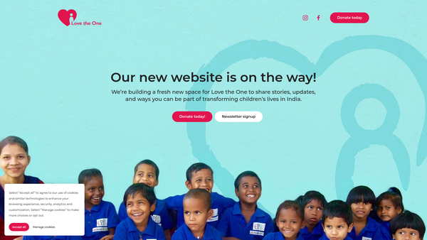 Screenshot of the Love The One website