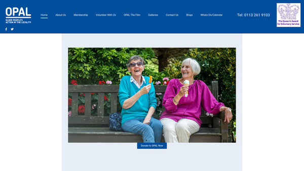 Screenshot of the Older People's Action In The Locality website