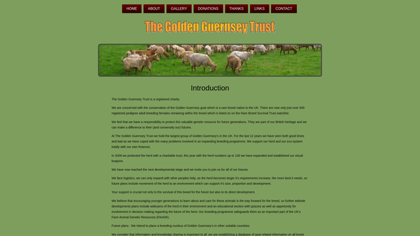 Screenshot of the Golden Guernsey website