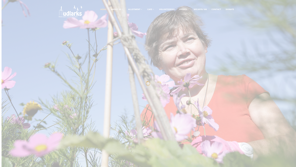 Screenshot of the The Mudlarks Community website
