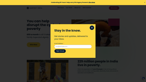 Screenshot of the Filling The Gap website