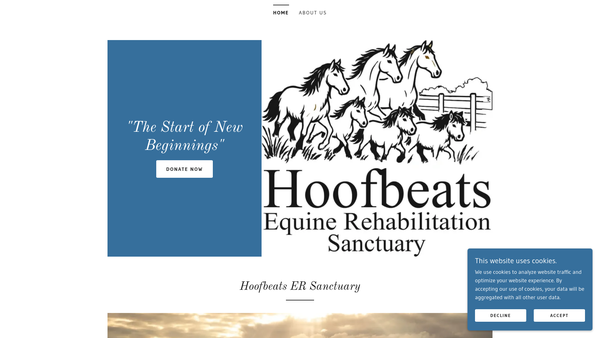 Screenshot of the Hoofbeats Equine Rehabilitation Sanctuary website