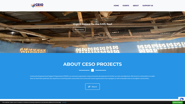 Screenshot of the Community Empowerment Support Organisation Limited website