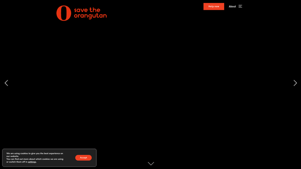 Screenshot of the Save The Orangutan website