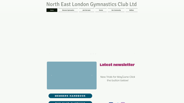 Screenshot of the North East London Gymnastics Club Ltd website