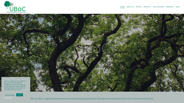 Screenshot of the United Bank Of Carbon website
