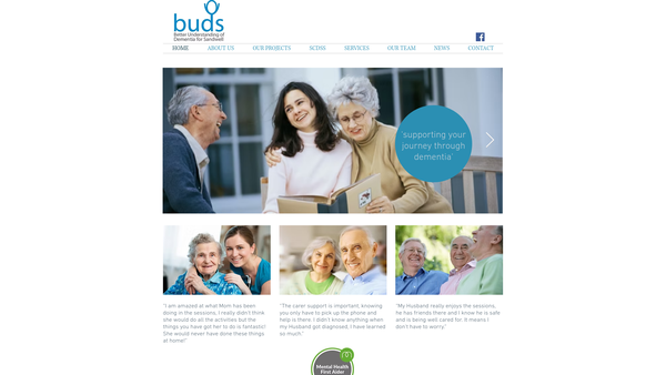 Screenshot of the Better Understanding Of Dementia For Sandwell website