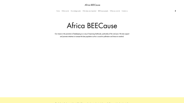 Screenshot of the Africa Beecause website