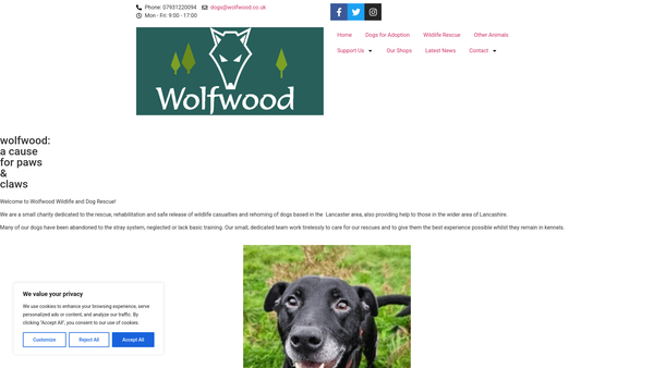 Screenshot of the Wolfwood website