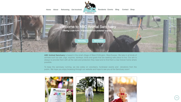Screenshot of the Alexandra Bastedo (Champions) Animal Sanctuary Limited website