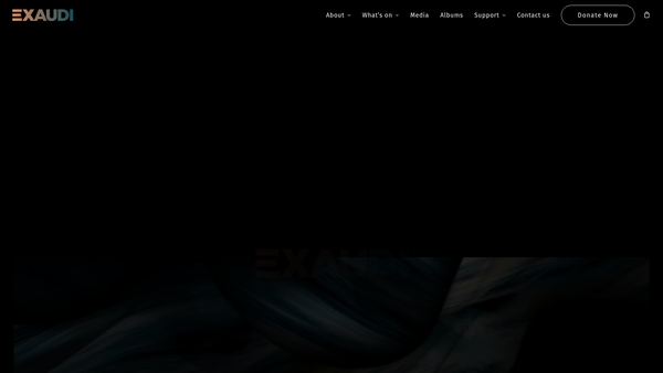Screenshot of the Exaudi website